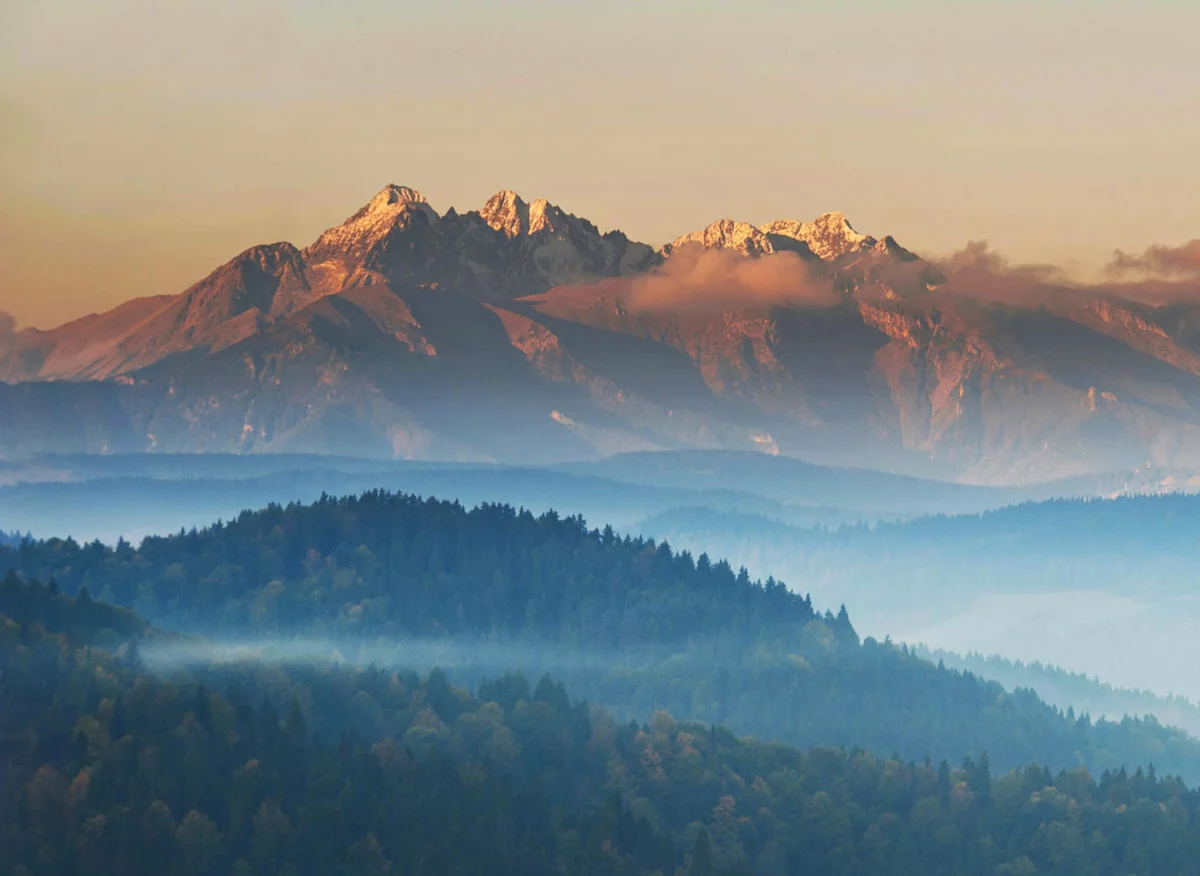 Czy są zmiany jak znaleźć ciekawe informacje?