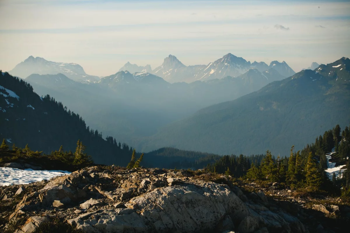 STUDIUM PRZYPADKU Jak robić imprezę W 11 Dni?
