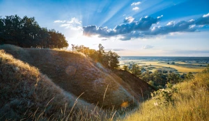 Biznes i marketing - pozycjonowanie w Google - poradnik