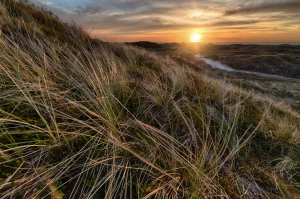 BDO w Belgii — praktyczny przewodnik dla polskich firm: rejestracja, obowiązki sprawozdawcze, koszty i różnice prawne wobec polskiego systemu