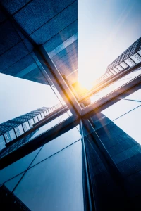 Oto Plan Od A Do Z Aby zadbać o rośliny domowe W 9 Dni